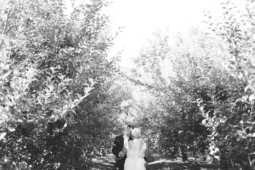 elegant wedding in sunny apple orchard | best hawaii wedding photographer oahu elopement photography elle rose photo