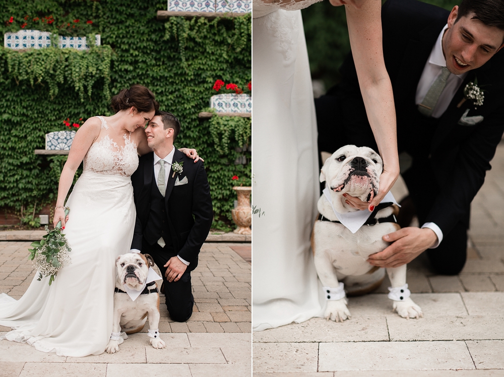 french bulldog summer wedding florals natural sage | hawaii elopement photography | elle rose photo hawaii wedding photographer