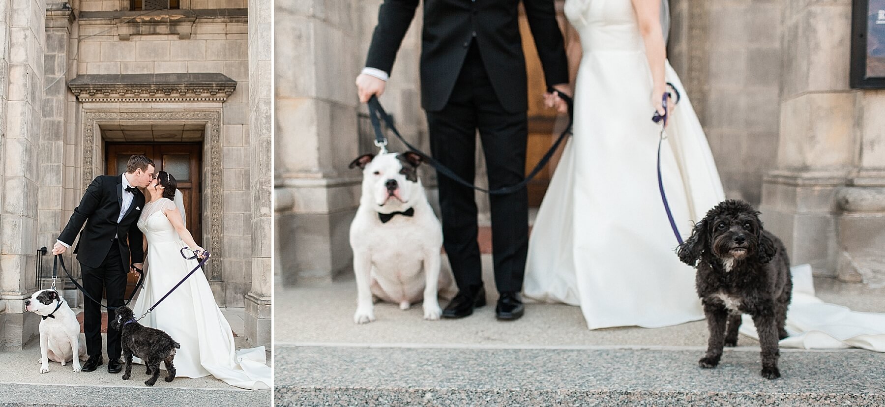 wedding dogs | hawaii black tie wedding oahu family photography elle rose photo | glamorous destination winter wedding at thompson chicago 