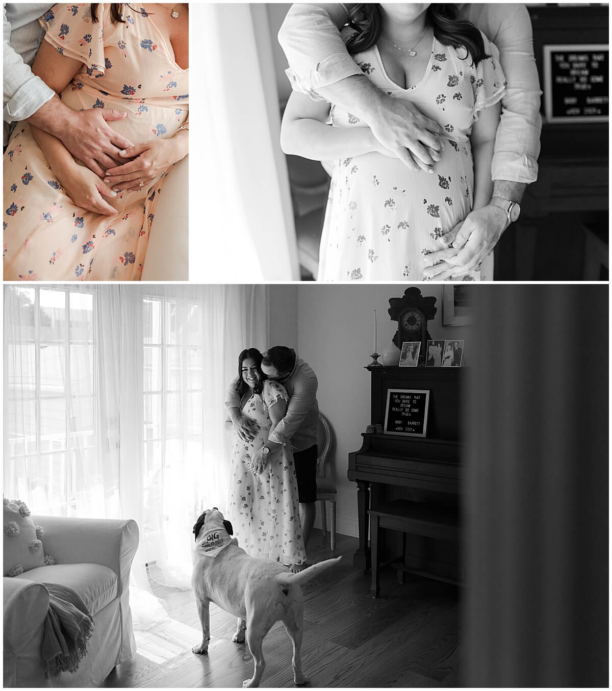 family dog standing in living room with pregnant mom and dad for in home maternity session 