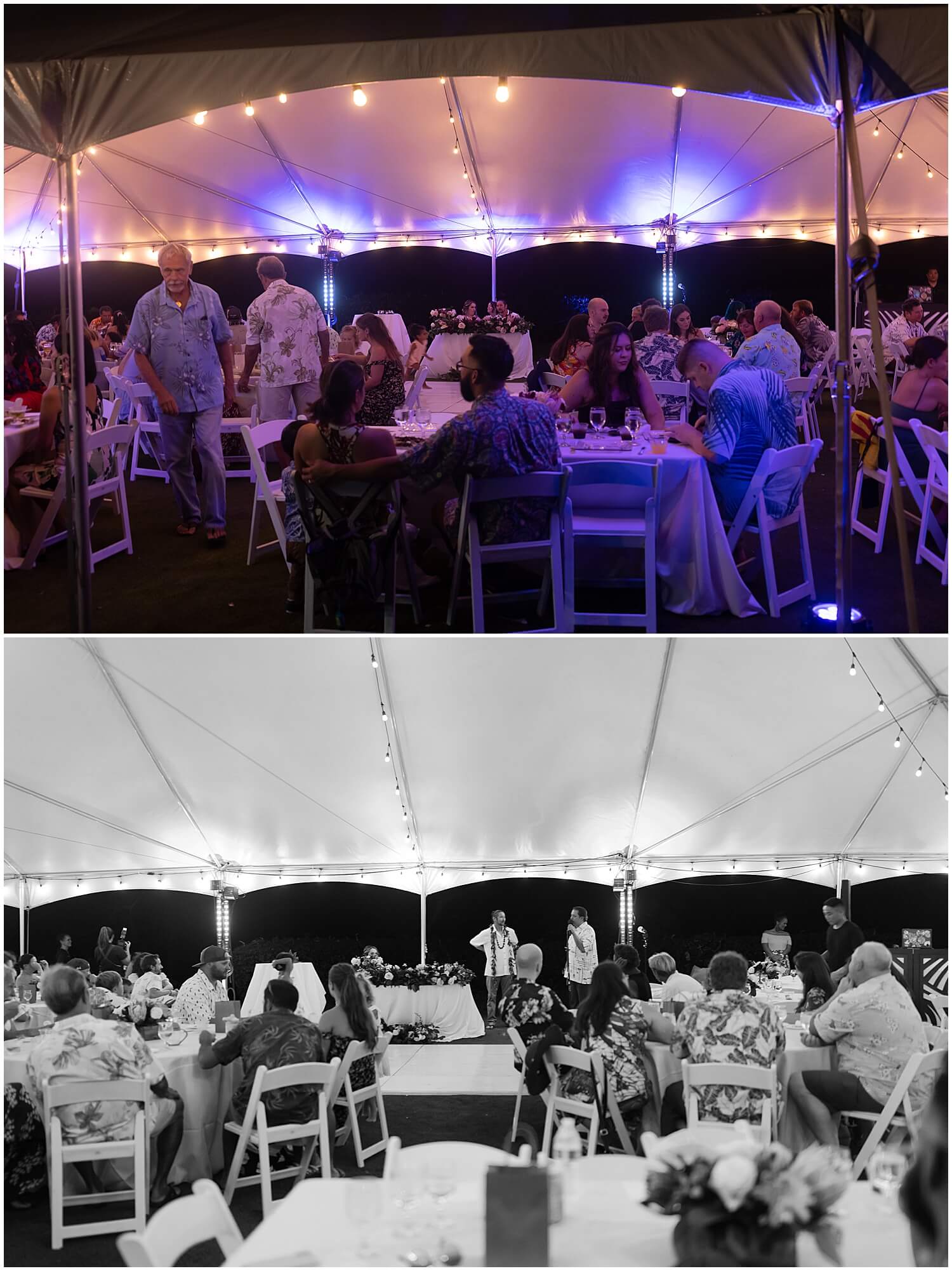 White tent and string lights at wedding reception at Moli’i gardens at Kualoa ranch