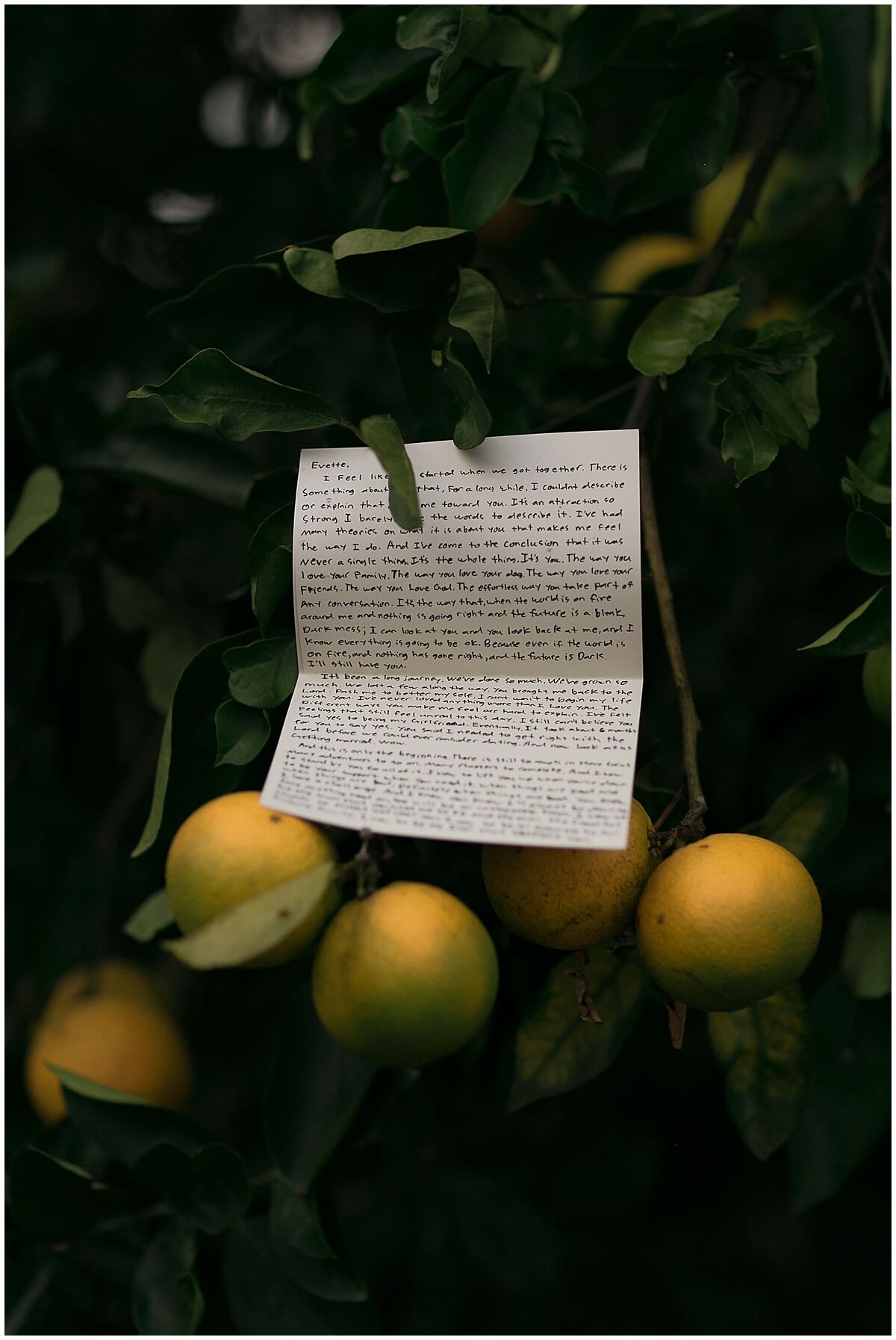 handwritten note hanging from apple tree during intimate backyard ceremony
